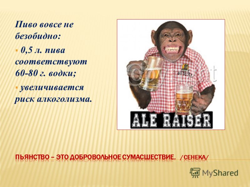 Пиво вовсе не безобидно: 0,5 л. пива соответствуют 60-80 г. водки; увеличивается риск алкоголизма.
