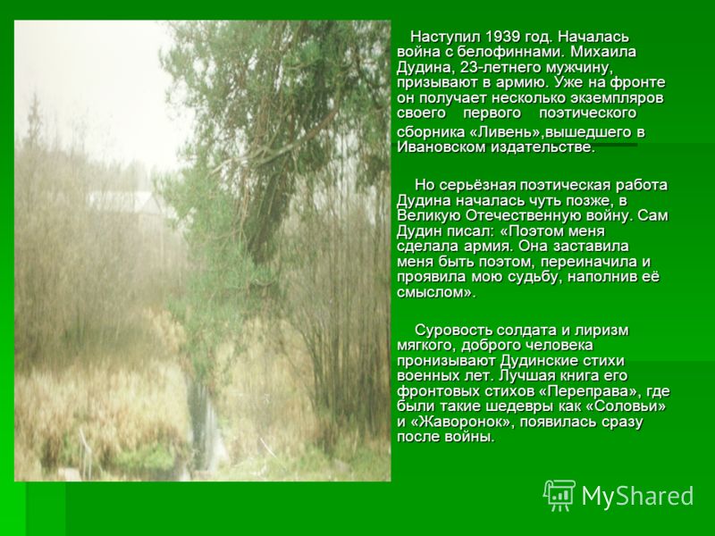 Стих о войне и деревьях Стих о войне и деревьях