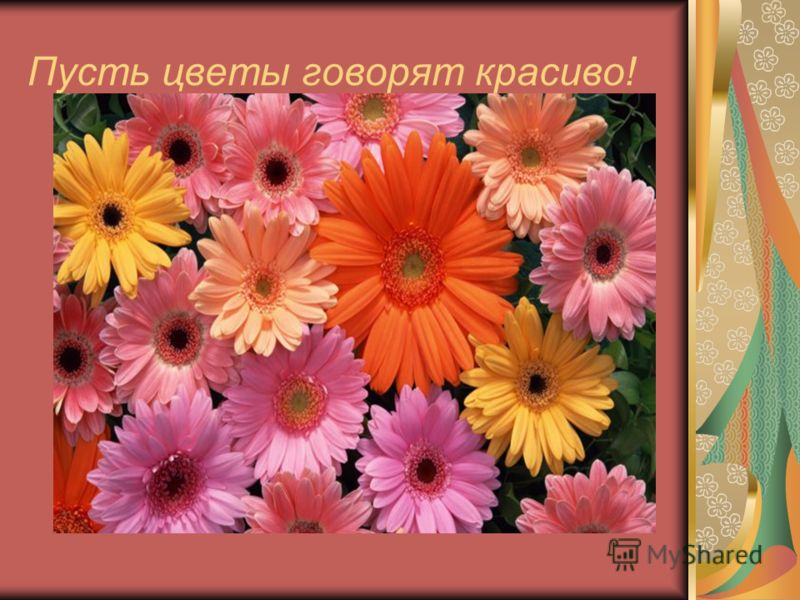 Повести и рассказы куприна читать