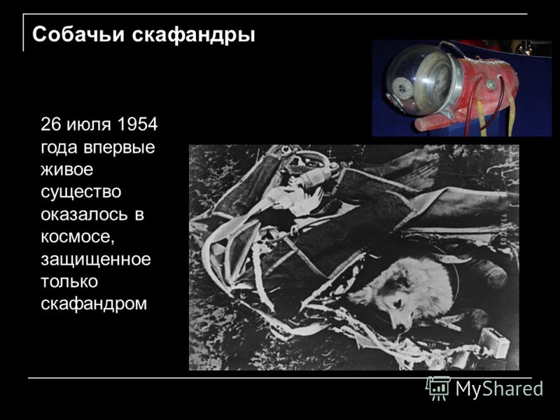 26 июля 1954 года впервые живое существо оказалось в космосе, защищенное только скафандром Собачьи скафандры