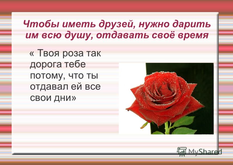 Чтобы иметь друзей, нужно дарить им всю душу, отдавать своё время « Твоя роза так дорога тебе потому, что ты отдавал ей все свои дни»
