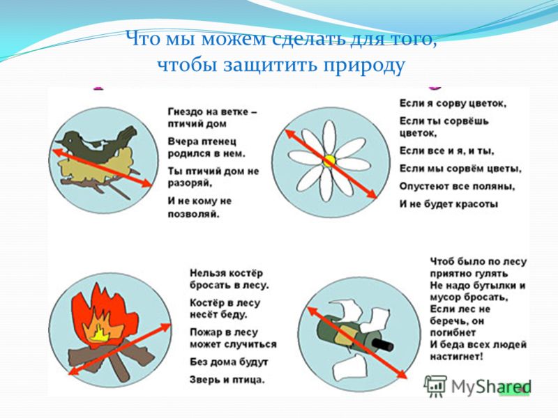 Давайте защищать природу картинки Давайте защищать природу картинки
