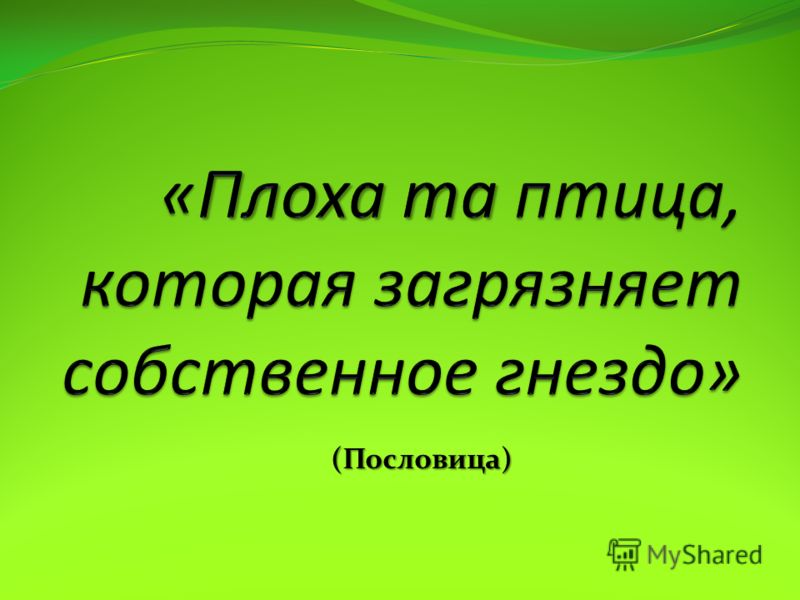 Пословицы о окружающей среде на английском