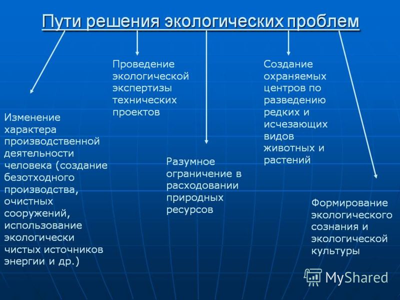 Экологические проблемы связанные с апк Экологические проблемы связанные с апк