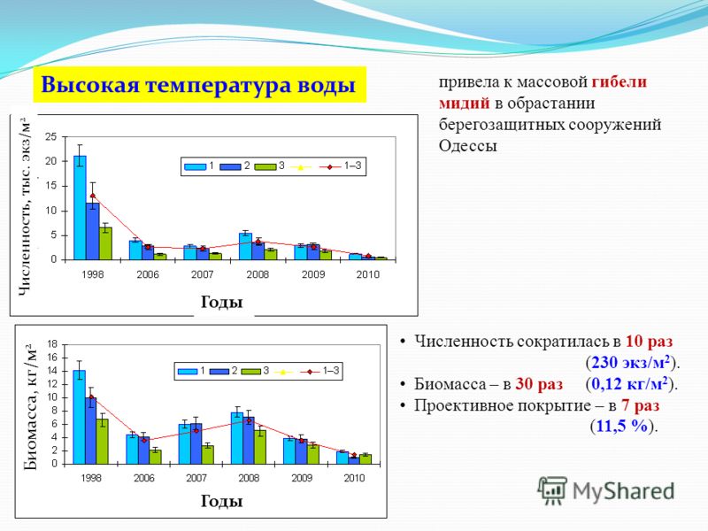 Годы Численность, тыс. экз/м 2 Биомасса, кг/м 2 Численность сократилась в 10 раз (230 экз/м 2 ). Биомасса – в 30 раз (0,12 кг/м 2 ). Проективное покрытие – в 7 раз (11,5 %). привела к массовой гибели мидий в обрастании берегозащитных сооружений Одесс