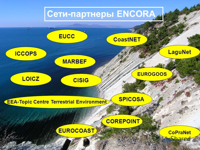 Сети-партнеры ENCORA EUCC EEA-Topic Centre Terrestrial Environment CoastNET EUROGOOS CoPraNet COREPOINT EUROCOAST SPICOSA MARBEF ICCOPS CISIG LOICZ LaguNet