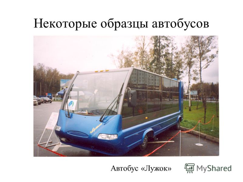 Некоторые образцы автобусов Автобус «Лужок»
