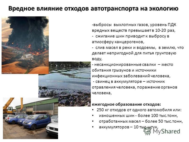 Влияние автотранспорта на окружающую среду - презентация онлайн