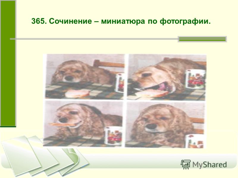 Сочинение-миниатюра 7 класс упр 365 львова