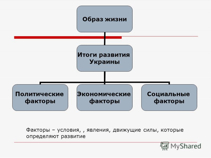 Образ жизни Итоги развития Украины Политические факторы Экономические факторы Социальные факторы Факторы – условия,, явления, движущие силы, которые определяют развитие