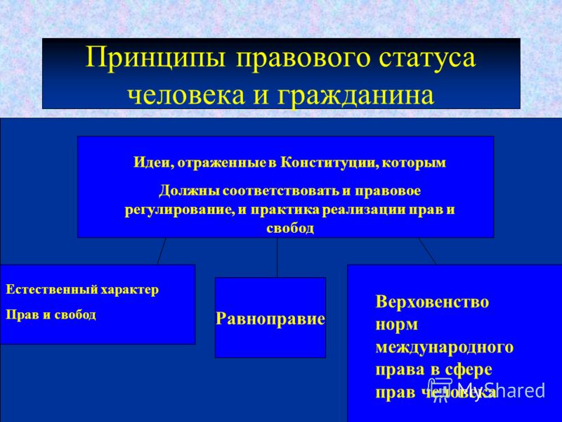 Реферат: Конституционно-правовой статус человека и гражданина 2