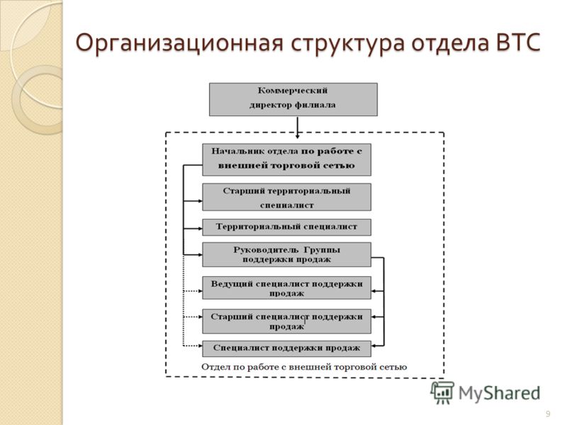 Организационная структура отдела ВТС 9