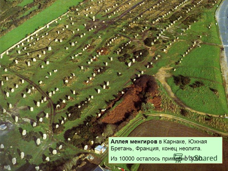 Аллея менгиров в Карнаке, Южная Бретань, Франция, конец неолита. Из 10000 осталось примерно 3000.
