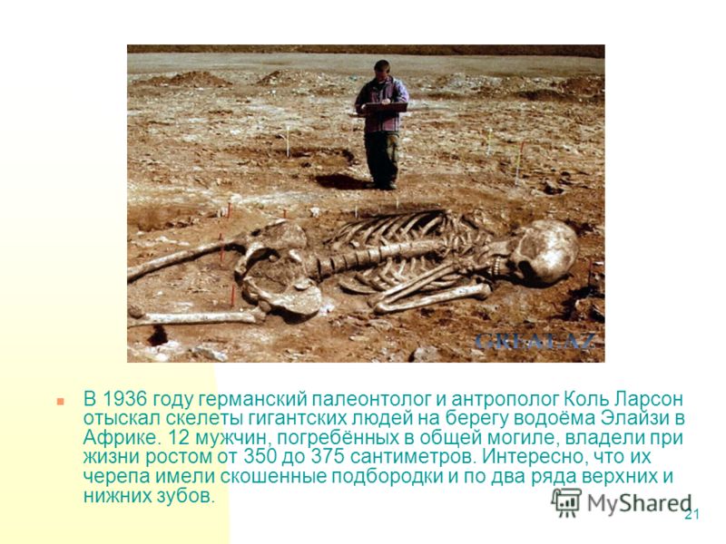 21 В 1936 году германский палеонтолог и антрополог Коль Ларсон отыскал скелеты гигантских людей на берегу водоёма Элайзи в Африке. 12 мужчин, погребённых в общей могиле, владели при жизни ростом от 350 до 375 сантиметров. Интересно, что их черепа име