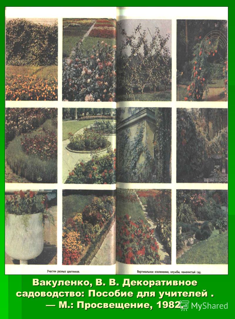 Вакуленко, В. В. Декоративное садоводство: Пособие для учителей. М.: Просвещение, 1982.
