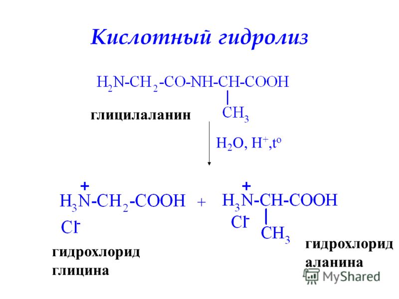 Кислотный гидролиз глицилаланин H 2 O, H +,t o + гидрохлорид глицина гидрохлорид аланина