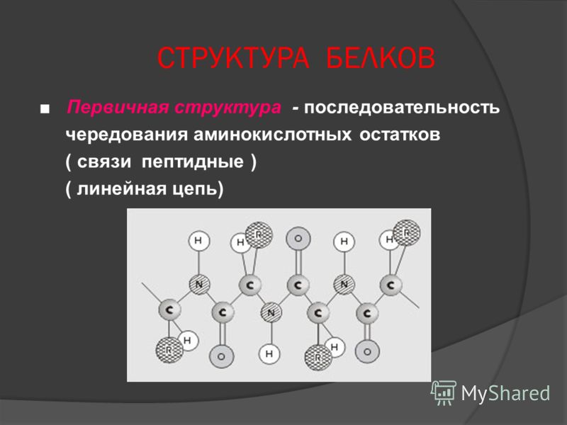 СТРУКТУРА БЕЛКОВ Первичная структура - последовательность чередования аминокислотных остатков ( связи пептидные ) ( линейная цепь)