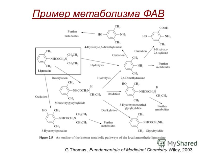 Пример метаболизма ФАВ G.Thomas, Fumdamentals of Medicinal Chemistry Wiley, 2003