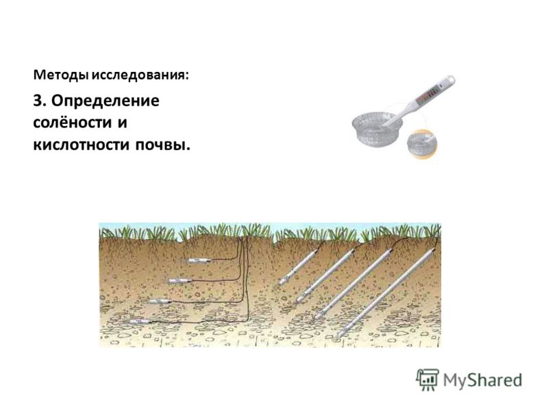 Методы исследования: 3. Определение солёности и кислотности почвы.