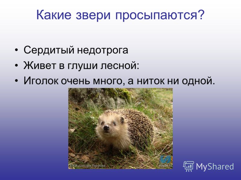 Презентация Урока Апрель Водолей 1 Класс