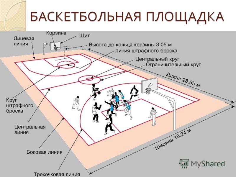 Баскетбольные Правила Баскетбольные правила