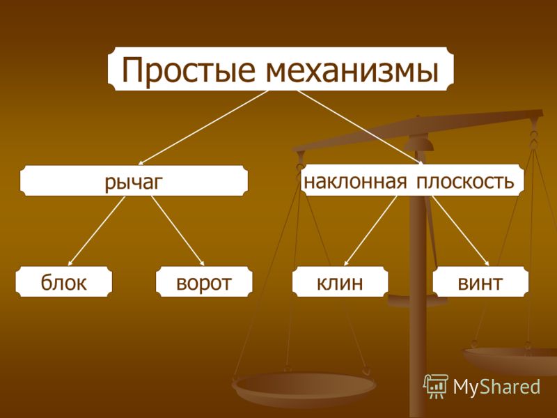 Применение простых механизмов в технике и живой природе