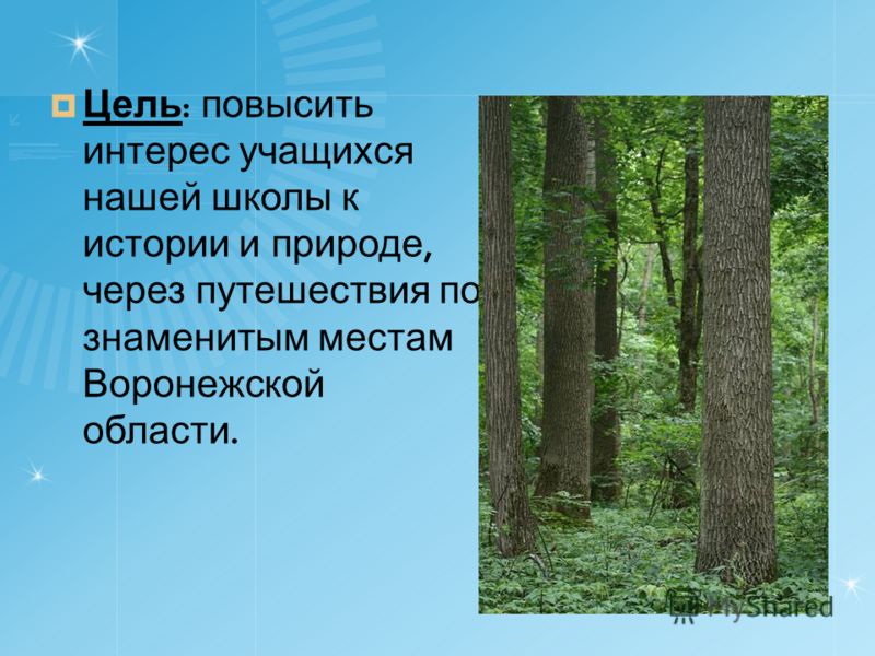 Цель : повысить интерес учащихся нашей школы к истории и природе, через путешествия по знаменитым местам Воронежской области.