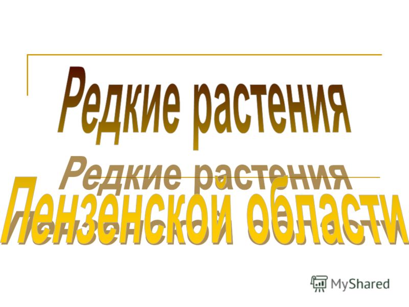 Животные Тундры Занесенные В Красную Книгу Животные Тундры Занесенные В Красную Книгу