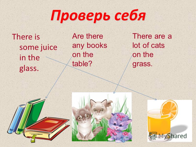 Проверь себя There is some juice in the glass. Are there any books on the table? There are a lot of cats on the grass.