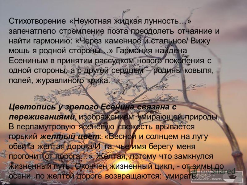 Конкурс на лучший венок «Луков венок» Все конкурсы, гранты Книга - Школьник - Некрасов Николай - Читать онлайн, Страница