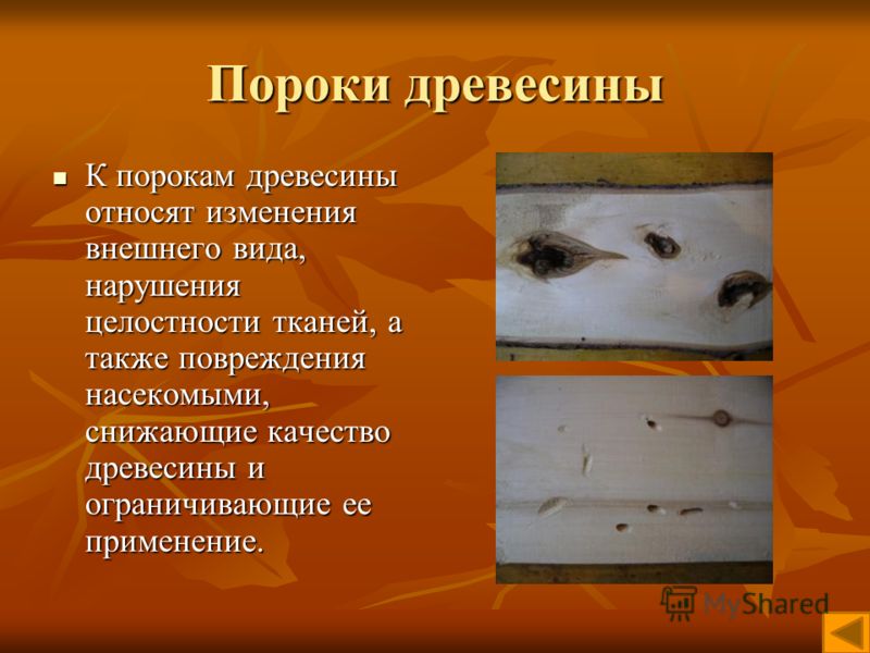 Пороки древесины К порокам древесины относят изменения внешнего вида, нарушения целостности тканей, а также повреждения насекомыми, снижающие качество древесины и ограничивающие ее применение. К порокам древесины относят изменения внешнего вида, нару