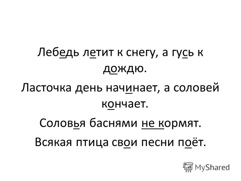 lastochka-den-nachinaet-a-solovey-konchaet lastochka-den-nachinaet-a-solovey-konchaet