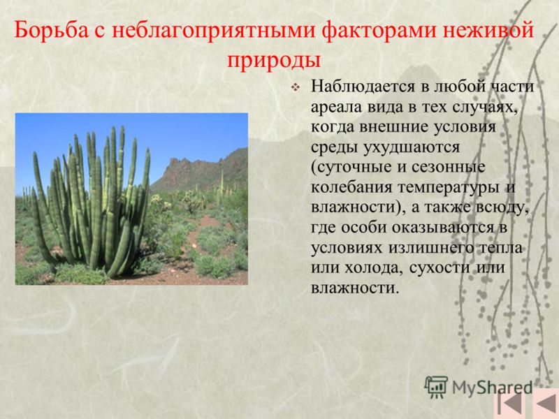 Борьба с неблагоприятными условиями картинки - Profhobby.ru