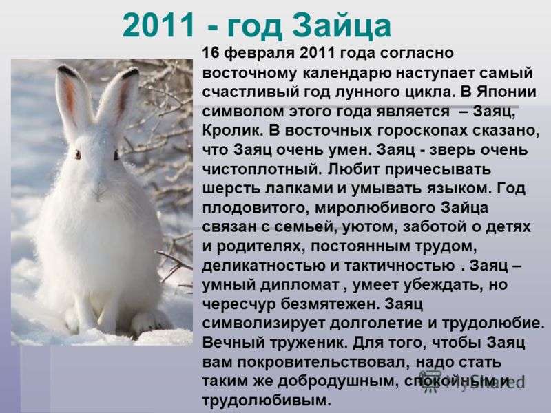 Годы кролика по восточному календарю