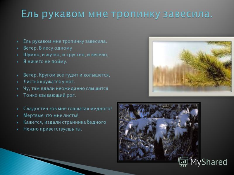 Стих фета если рукавом мне тропинку завесила Стих фета если рукавом мне тропинку завесила