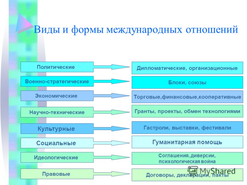 Чернокорень посадка и уход Чернокорень посадка и уход