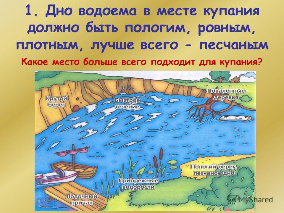 Дно водоема Дно водоема