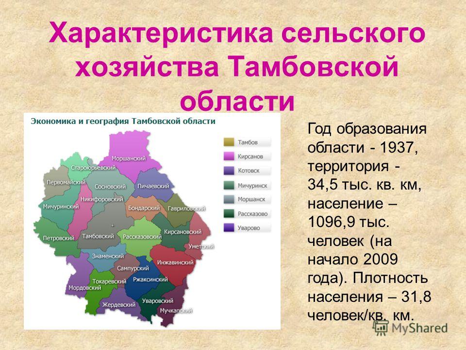 Проект о тамбове