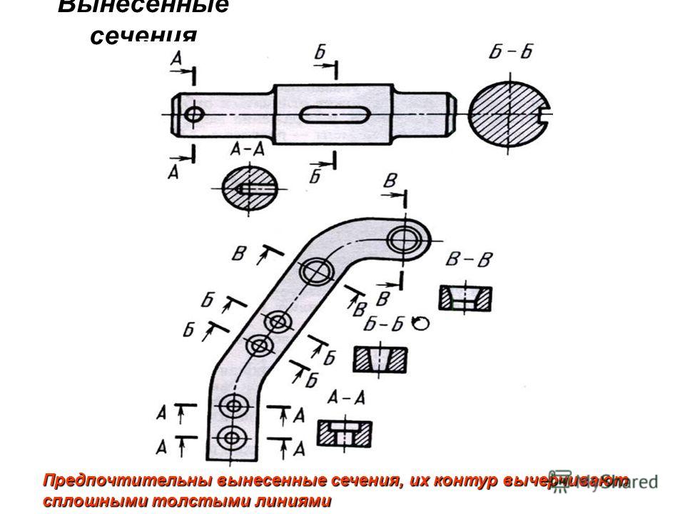 Секс Вид В Разрезе