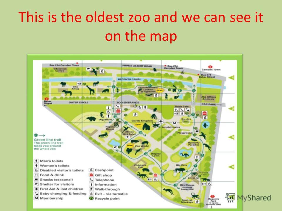 Реферат На Тему London Zoo