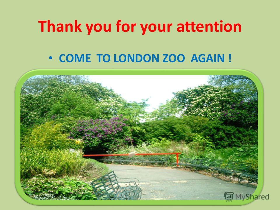 Thank you for your attention COME TO LONDON ZOO AGAIN !