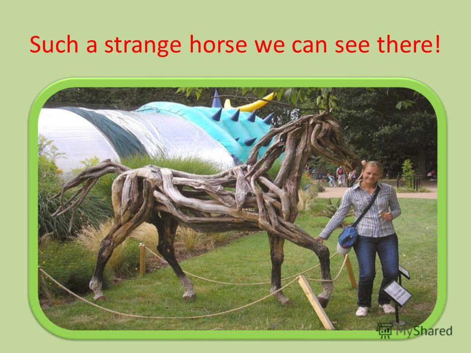 Such a strange horse we can see there!