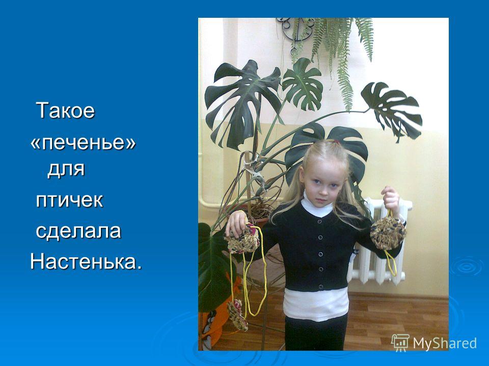 Год экологии в России Конкурс «На лучшую кормушку для птиц