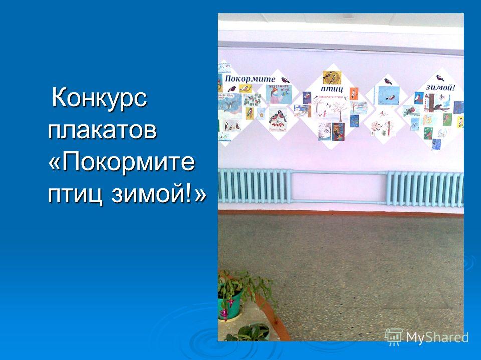 Конкурс на лучшую кормушку для птиц Конкурс на лучшую кормушку для птиц