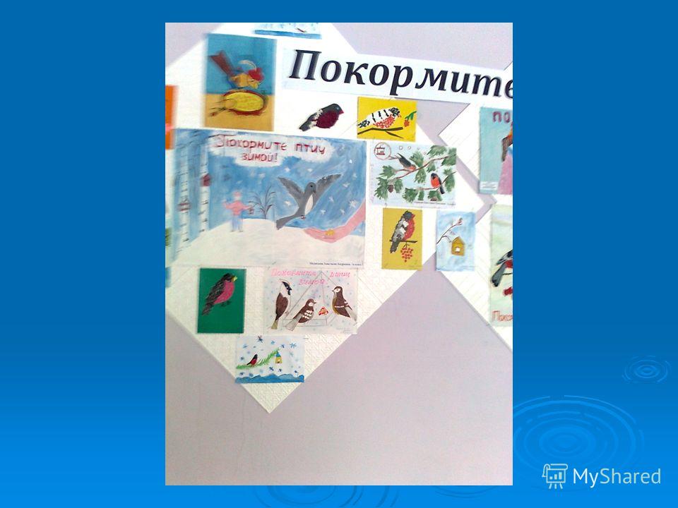 Конкурс на лучшую кормушку для птиц Конкурс на лучшую кормушку для птиц