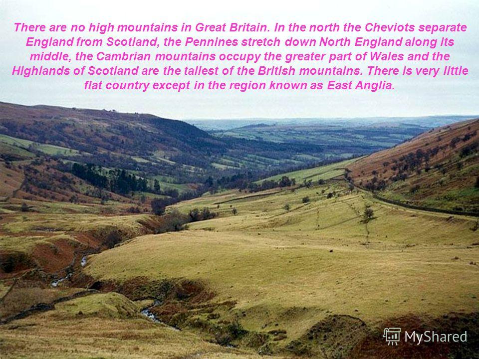 There are no high mountains in Great Britain. In the north the Cheviots separate England from Scotland, the Pennines stretch down North England along its middle, the Cambrian mountains occupy the greater part of Wales and the Highlands of Scotland ar