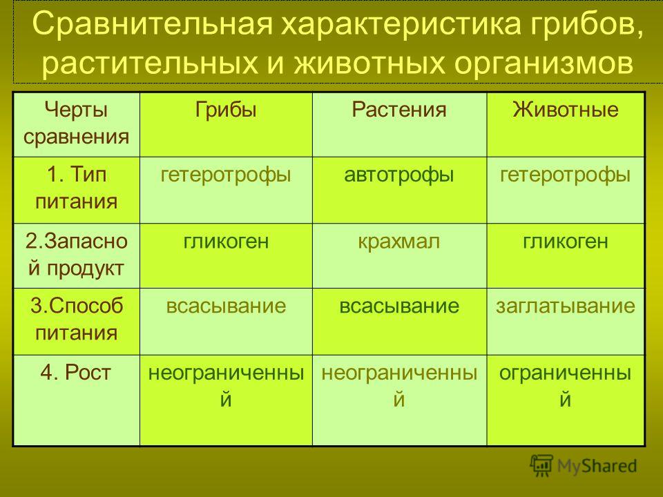 Заболевания связанные с типом питания Заболевания связанные с типом питания