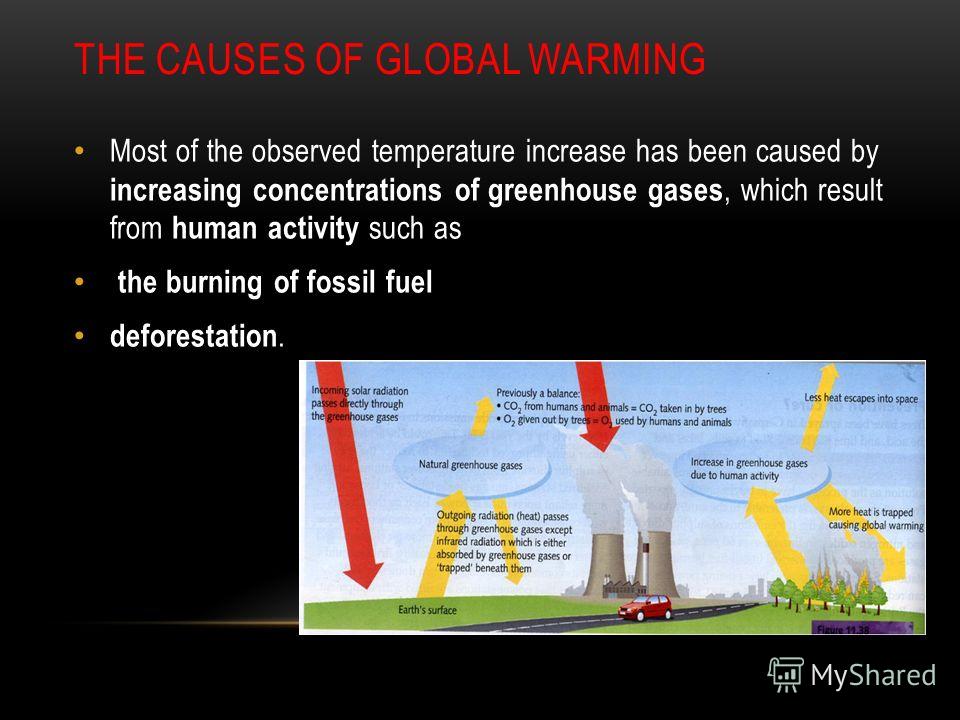 Human Activity Responsible For Global Warming