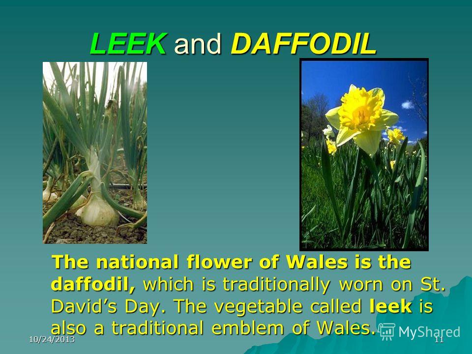 10/24/201311 LEEK and DAFFODIL The national flower of Wales is the daffodil, which is traditionally worn on St. Davids Day. The vegetable called leek is also a traditional emblem of Wales. The national flower of Wales is the daffodil, which is tradit