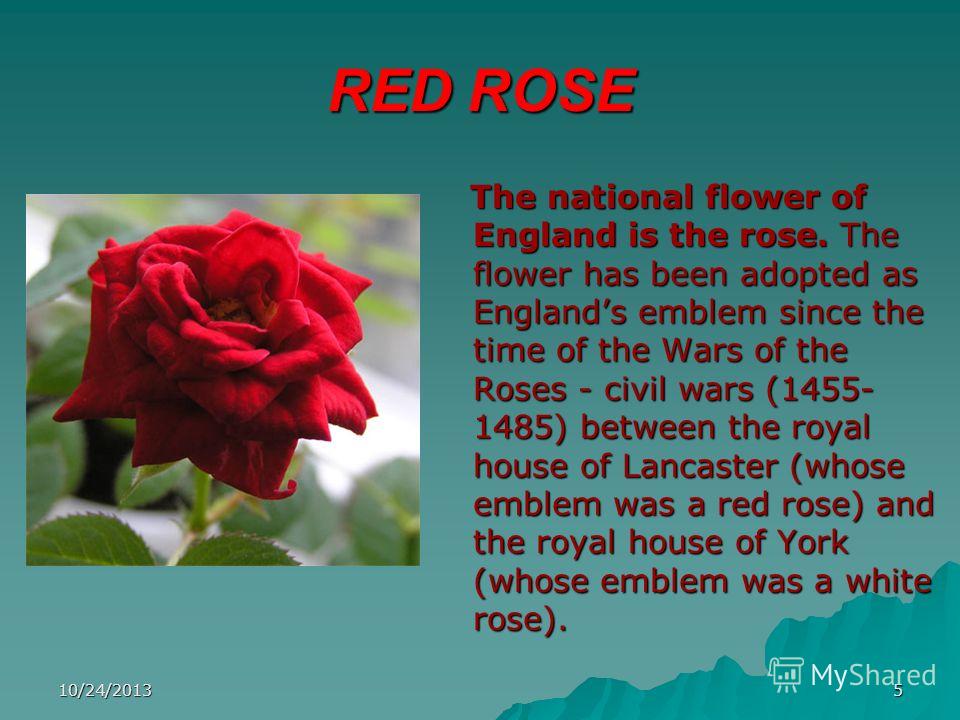 10/24/20135 RED ROSE The national flower of England is the rose. The flower has been adopted as Englands emblem since the time of the Wars of the Roses - civil wars (1455- 1485) between the royal house of Lancaster (whose emblem was a red rose) and t
